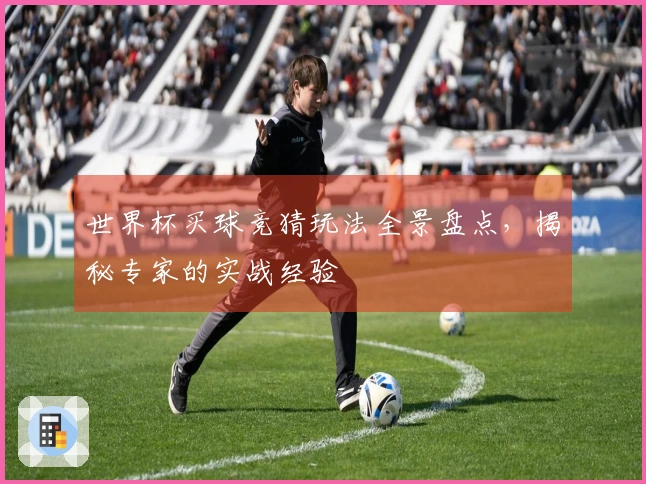 世界杯买球竞猜玩法全景盘点，揭秘专家的实战经验