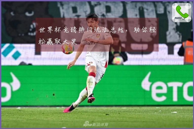 世界杯竞猜热门玩法总结，助你轻松赢取大奖