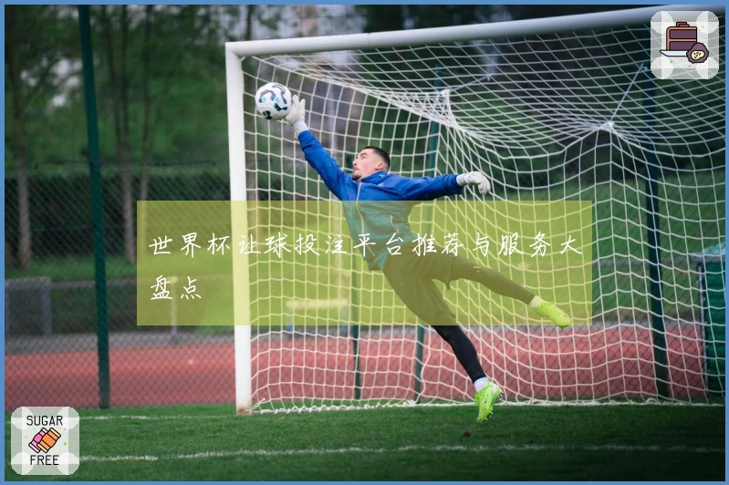 世界杯让球投注平台推荐与服务大盘点