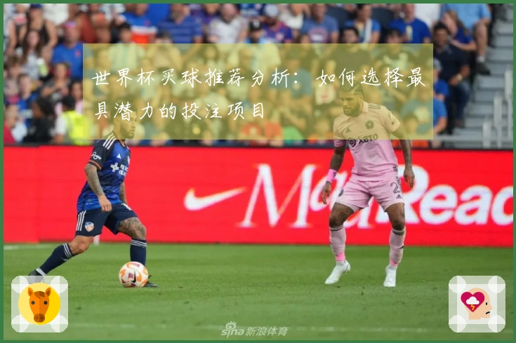 世界杯买球推荐分析：如何选择最具潜力的投注项目
