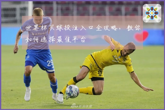 世界杯买球投注入口全攻略，教你如何选择最佳平台