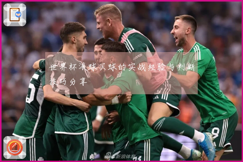 世界杯滚球买球的实战经验与判断技巧分享
