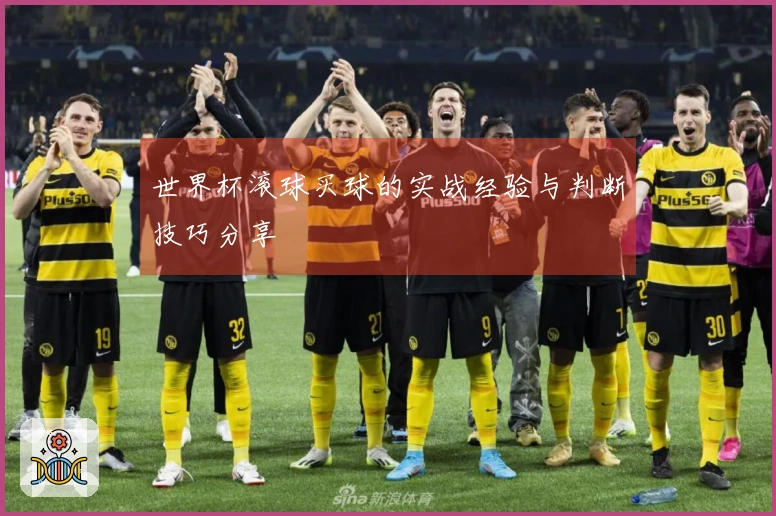 世界杯滚球买球的实战经验与判断技巧分享