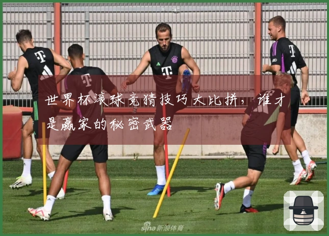 世界杯滚球竞猜技巧大比拼，谁才是赢家的秘密武器
