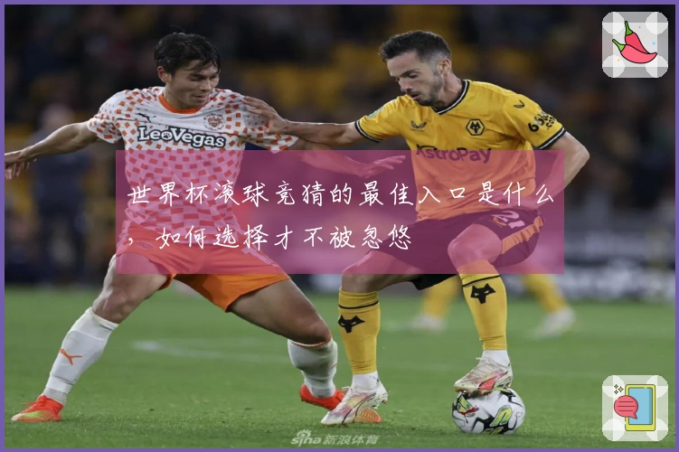世界杯滚球竞猜的最佳入口是什么，如何选择才不被忽悠