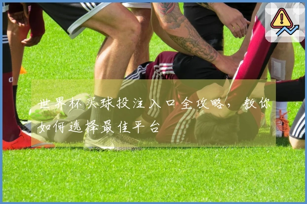 世界杯买球投注入口全攻略，教你如何选择最佳平台