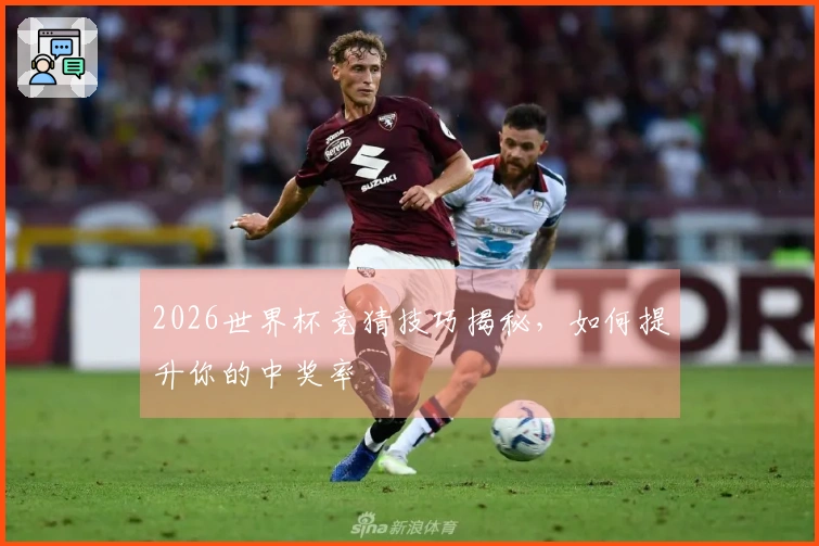 2026世界杯竞猜技巧揭秘，如何提升你的中奖率