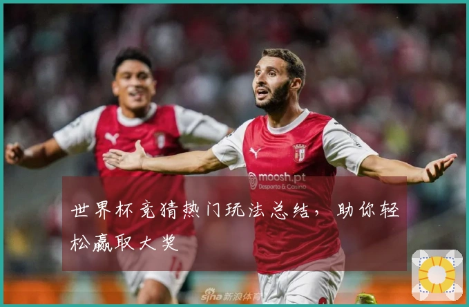 世界杯竞猜热门玩法总结，助你轻松赢取大奖
