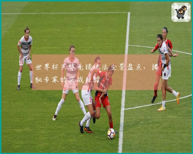 世界杯买球竞猜玩法全景盘点，揭秘专家的实战经验